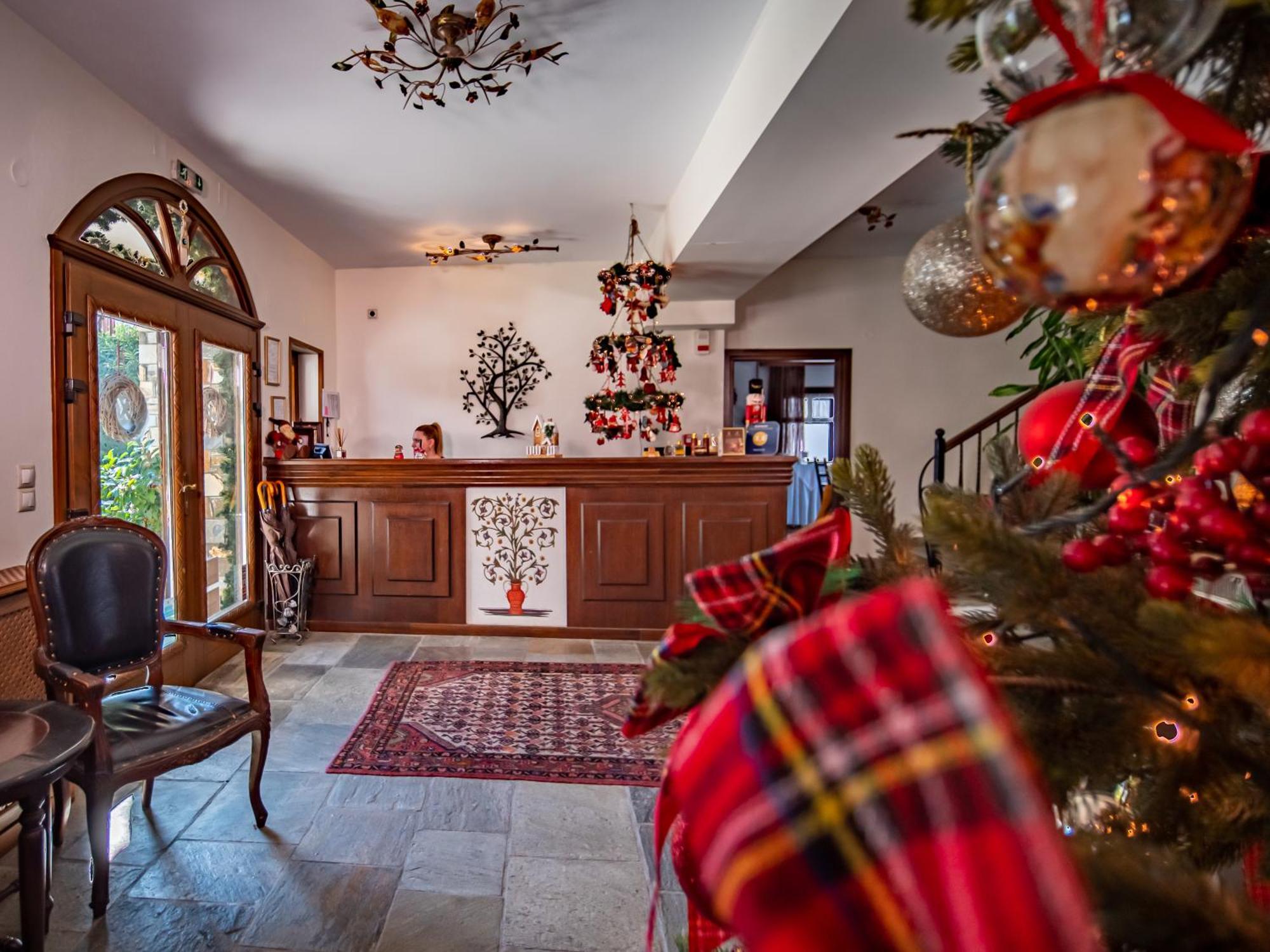 Erofili Hotel & Suites Portaria  Luaran gambar