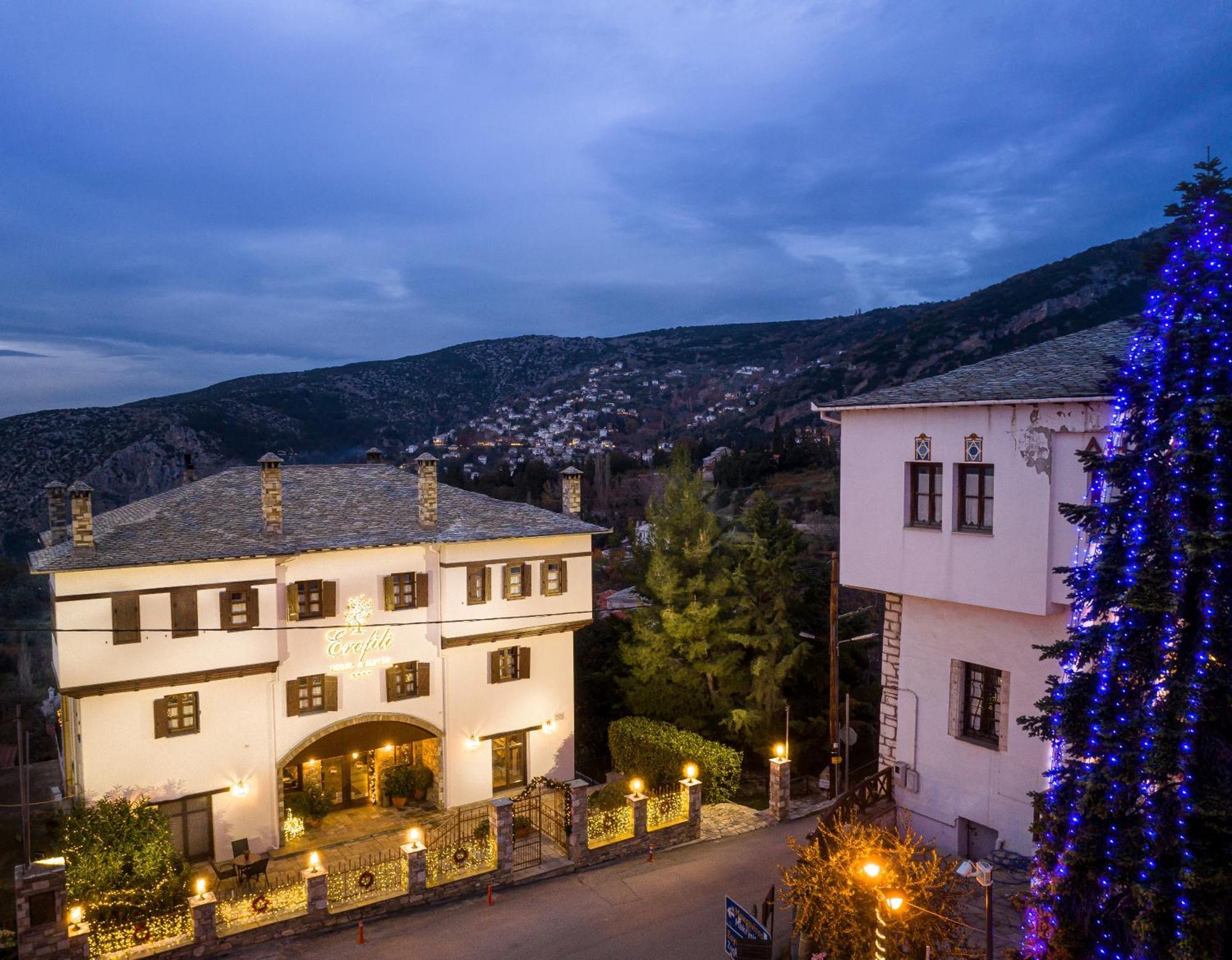 Erofili Hotel & Suites Portaria  Luaran gambar
